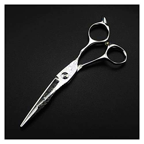 Ciseaux de coiffeur de 6 pouces avec lames en acier inoxydable ergonomiques