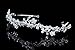 Flower Wreath Bridal Prom Headband Tiara - Clear Crystals Silver Plated T595