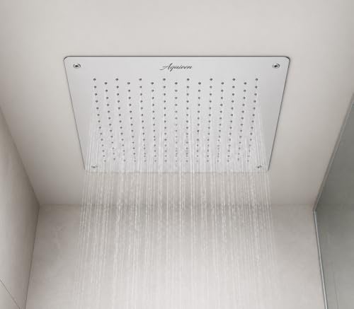 Image of Aquieen 2 inlet rain and mist shower SS304 Ceiling Shower (16 inch x 16 inch Rain)