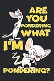 pinky brain stream  Pinky And The Brain Pondering: Notebook Planner -6x9 inch Daily Planner Journal, To Do List Notebook, Daily Organizer, 114 Pages