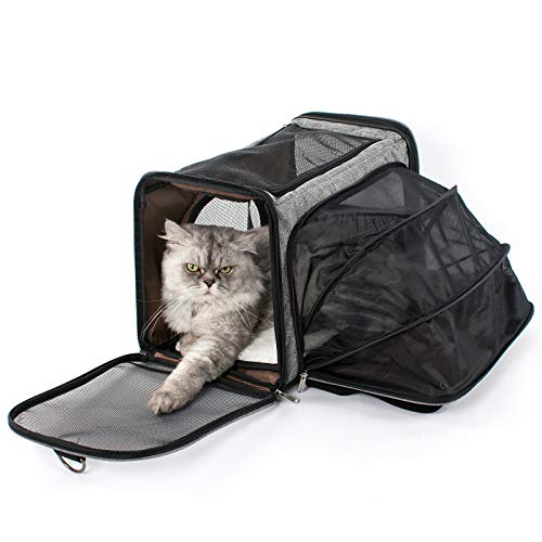 LUCKITTY Pet Carrier Cat Carriers, Airline Approved Travel Pet Bag, Collapsible Soft-Sided Dog Kennel with Removable Fleece Pad and Pockets,Best for Small Medium Cats Dogs