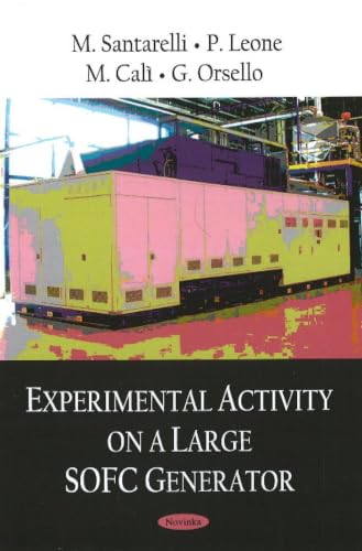 Experimental Activity on a Large SOFC Generator