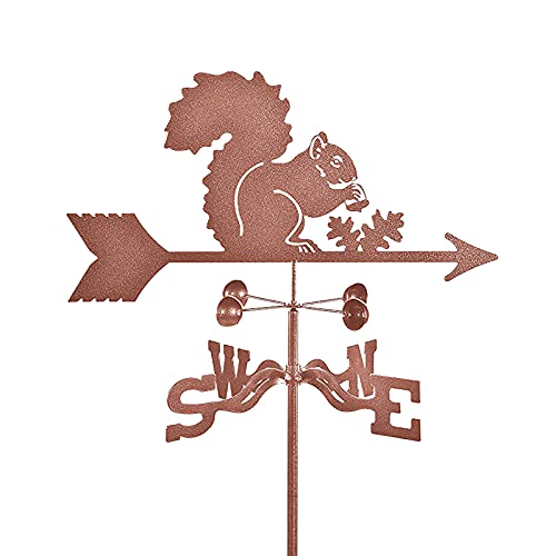 EICOFF Wetterfahne, Eichhörnchen-Silhouette, Dachmontage, Gartenpfahl, Messwerkzeuge, Windrichtungsanzeiger, Wetterhahn, Edelstahl, für Terrasse, Hof, Ornament-Dekoration