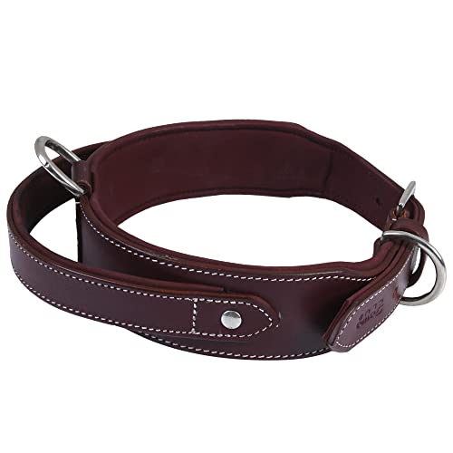 DowgClub, Cherry, XL (Fit Neck Size 22"-26")