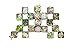 CAL Farms 2" Beautiful Assorted Variety Succulents for Weddings or Party Favors or Succulent Gardens (Pack of 20)