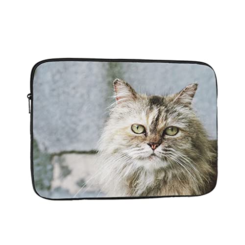 JĂL m[gp\RP[X 13 inch C` bvgbvX[u PCP[X X[uP[X Ci[P[X ϏՌ ϐ ʋ ʊw 킢 یP[X/m[gubN/^ubg