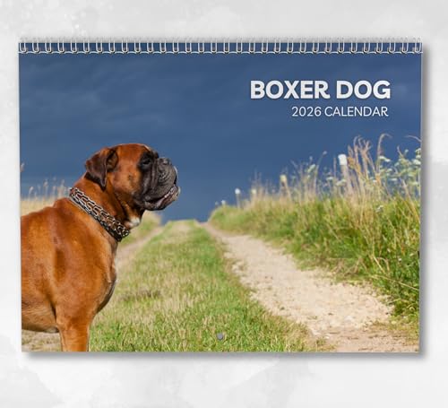 Boxer Dog Calendrier 2026 : calendrier mural mensuel avec notes, format A4 à suspendre, comprend les dates clés et jours fériés