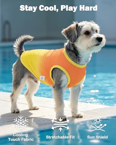 Image of CuteBone Ombre Dog Tank Top for Small Dogs, Cats - Tropical Summer Pet Vest - Breathable Ice Silk Cooling Shirt - Sun Protection, Photo, Casual Play, Walks