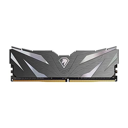 Netac DDR4 Ram 16GB 2666MHz CL19, PC Ram für Desktop Gaming...
