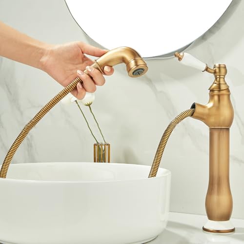 BiaoTeng ʑ ֌ g Lk  VOo[  ␅ ^J VN ֌  1 AeB[N 