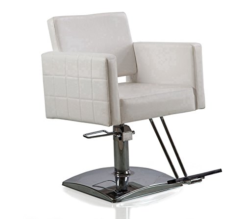 Beauty Style Styling Chair Salon Spa Barber Chair White Square Base