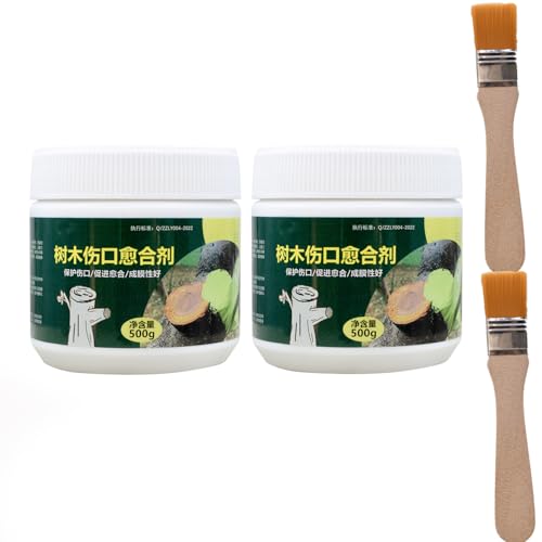 A ؐ؂ی 500g ؂̐؂ɓh ؙV[[ AV[[ ~͐Ay[Xgڂ؃c[V[[ |Aڂ ؂ёnp ؏C (2)