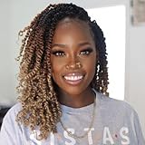 14 Inches 8 Packs Passion Twist Crochet Hair for Black Women and Kids-3 Tones Ombre Black to Brown Blonde, Pre Looped Pretwisted Crochet Hair,Soft Lightweight Hair Extension (14'-8 Packs,T1B/30/27)