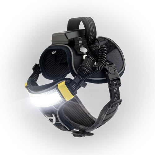 Lumi One LED Dog Harness for Night Visibility and Safety, Patent Pending – High-Visibility Light-Up Dog Vest with 1000 Lumen LED, Rechargeable Battery, Adjustable Fit, Reflective Trim (Black, Small)