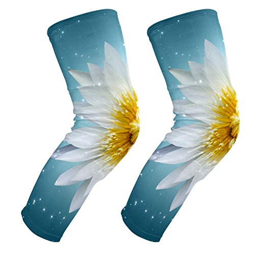 Genouillères en nid d'abeille EZIOLY Lotus pour basketball et football