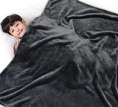 Lukeight Fleece Travel Blanket Throw Blanket For Couch, 380 Gsm Grey Luxury Lightweight Blankets For Adults And Kids, Soft Cozy Microfiber Blanket For Sofa, Bed - 50X60 Inches #TOP10