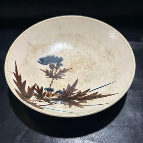 Ôp F̃AU~̉Ԃ`ꂽXeLȕ͋C̉Ēq