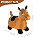 Willingfun Bouncy Horse for Kids, Plush Bouncy Pals, Ride on Toys for Toddlers, Bouncing Toy Hopper Toy, Toys and Gifts for Boys and Girls Aged 2, 3, 4, 5