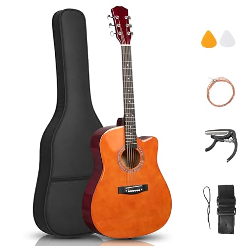 Ktaxon 41 Inch Acoustic Guitar with Gig Bag