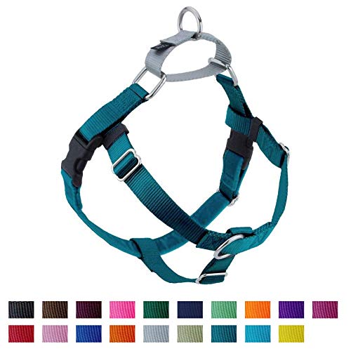 2 Hounds Design Freedom No-Pull No Leash Harness Only, 1-Inch, Medium, Teal