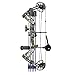 Sanlida Archery Dragon X8 RTH Compound Bow Kit and 24 Pcs 100% Pure Carbon Arrows
