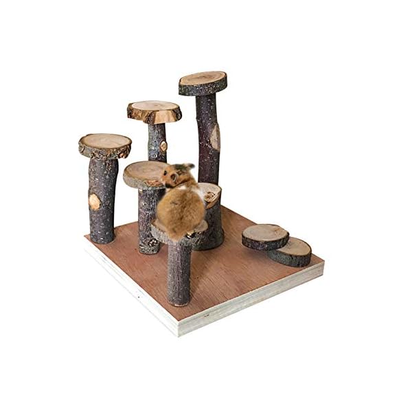 Hamster climbing wooden stand platform, pet cage playground natural wood bridge ramp toys for dwarf hamsters, syrians hamster, gerbil, mouse, rat - image 5