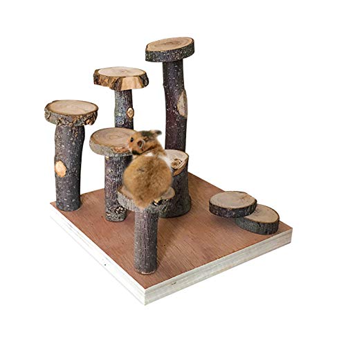 Hamster climbing wooden stand platform, pet cage playground natural wood bridge ramp toys for dwarf hamsters, syrians hamster, gerbil, mouse, rat 4 Hamster climbing wooden stand platform, pet cage playground natural wood bridge ramp toys for dwarf hamsters, syrians hamster, gerbil, mouse, rat - image 5