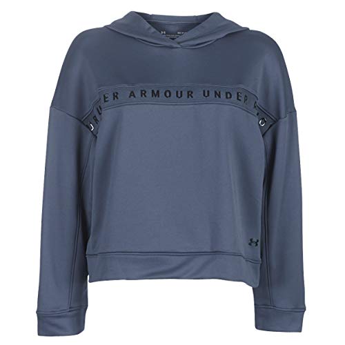 Preisvergleich Produktbild Under Armour Damen Langarmshirt Tech Terry Hoody, Grau, SM, 1344489-044