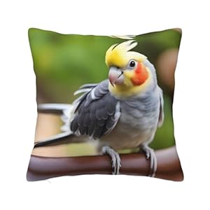 Pl&uuml;schiges Nymphensittich Sofakissen im 3D Fotodruck, 30cm Kissenh&uuml;lle | Geschenk-Kissen