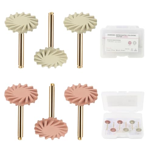 Dental Composite Resin Polishing Disc Kit Spiral Polisher Wheels RA 14mm P2