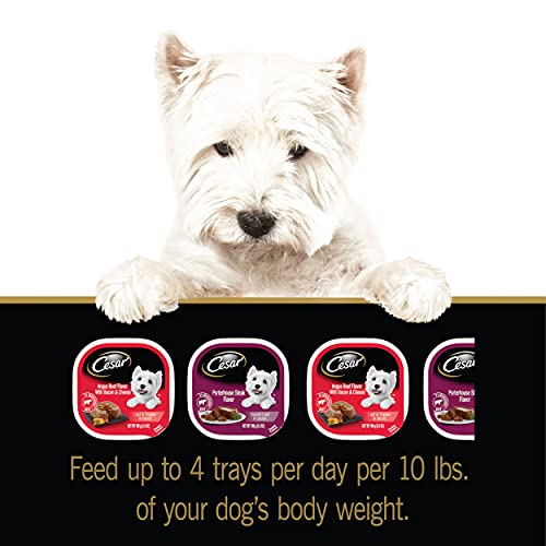 Cesar Soft Wet Dog Food Loaf & Topper in Sauce Angus Beef Flavor with Bacon & Cheese and Porterhouse Steak Flavor with… - Image 7