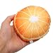 Firlar Obst-Plüsch-Hundespielzeug, Lustiges, Attraktives Kauspielzeug für Haustiere Zum Waschen der Zähne, Niedliches, Interaktives, Weiches, Bissfestes, Quietschendes(Orange)