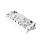 Smart LED Strip Controller, Compatible with WW 12V/24V RGB LED Strip Lights, 3 Wires and 2 Wires, 12A Max