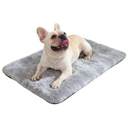 Homshsjhkis Tapis Chauffant Chat, Couverture Chauffante Chat 45 x 70cm sans Électricité, Coussin Chauffante pour Animaux, Couverture Antidérapant Douce et...