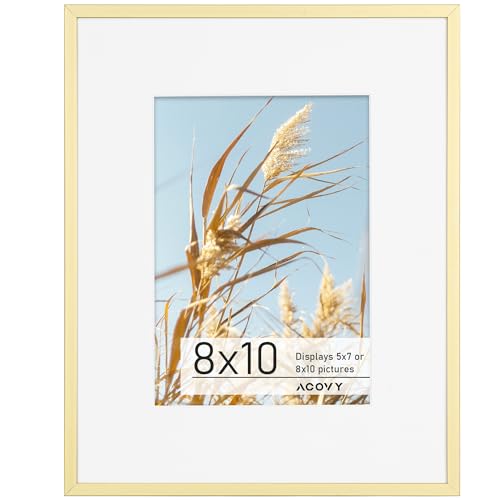 Acovy 8x10インチ 写真フレーム アルミニウム製 8x10インチ フレーム マット仕上げ 5x7インチ 8x10インチ フォトフレーム 高解像度プレキシガラス付き 金属製8x10インチ 壁または卓上ディスプレイ用 壁掛けフック付き (ゴールド、1パック)
