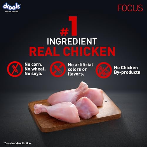 Image of Drools Focus Starter Super Premium Dry Dog Food 8kg Pack | Chicken Flavour | Supports Growth & Intelligence | Gut-Friendly Formula | Promotes Healthy Development