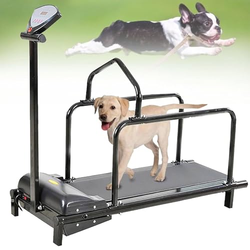 PixCy Cinta de Correr para Mascotas, con Pantalla de Visualización, Cinta de Correr Dog Pacer, Equipo de Entrenamiento para Correr en Interiores y Exteriores para Perros