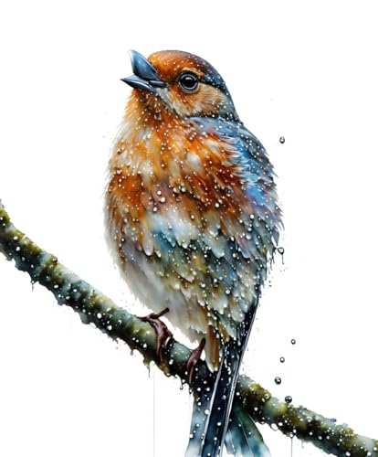 Toile murale aquarelle Meechi pour habiller un mur vide 50x70