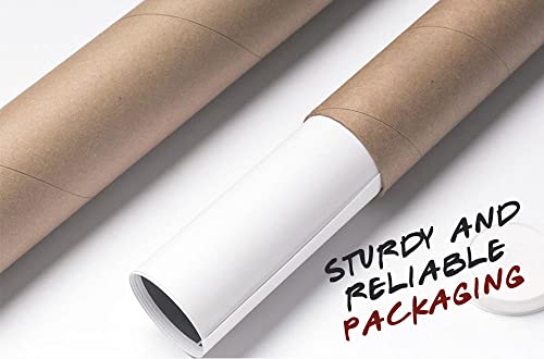 Bubbles Designs 2X Side Door Stripes Decal Sticker Graphic Compatible With Toyota Tacoma 2004 - Present (17B) #TOP6