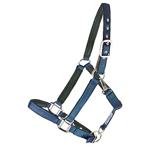 Dura-Tech Deluxe Fully Padded Breakaway Horse Halter | 1â Double Ply Nylon Web Overlay | Heavy-Duty Hardware | Semi Custom Fit | 3-Point Cheek Attachment