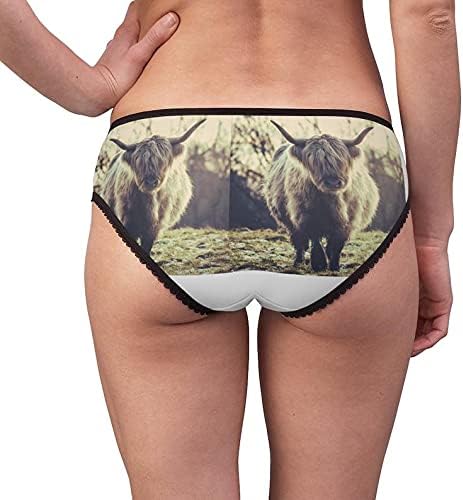 Scottish Highland Cow Panties, Scottish Highland Cow Underwear, Briefs, Cotton Briefs, Funny Underwear, Panties For Women