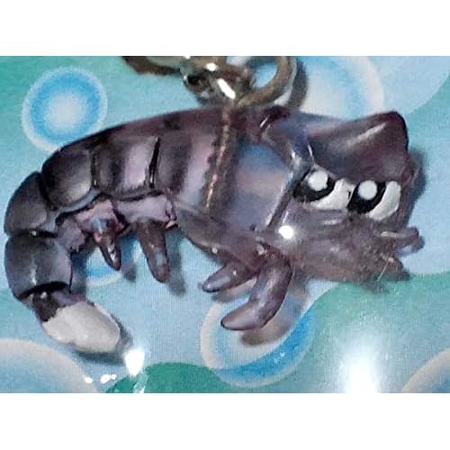 エビ（海物語）