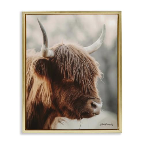Calm Highland Cow Portrait Farmhouse, 17 x 21 Inch Canvas in Floater Frame