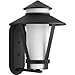 Progress Lighting P6012-31 1-Light Wall Lantern with Etched Opal Glass Cylindrical Diffuser