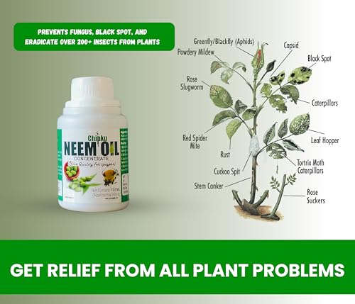 Image of B natural Pure Cold Pressed Water Soluble Neem Oil 100ml Pack of 2 With Free Spray Gun Concentrate For Plants &Garden For Indoor &Outdoor Removes Aphids Fungus For Making 40 Neem Spray Bottles