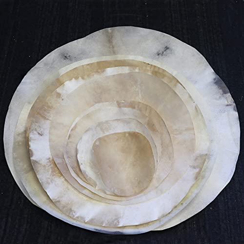 Zaza Percussion - Goatskin for Darbuka Doumbek Drum, Goat Skin for Djembe Natural Flat Round Goat...