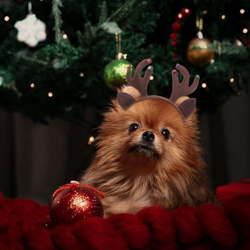 Diadema de reno navideña para perros y gatos miniatura 6