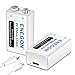 ENEGON 9V USB Dirette Batteria 650mAh Litio Ricaricabile con Cavo Micro USB 2 in 1 per Microfono, Allarme antifumo, Giochi elettrici, Walkie-talkie ed altri dispositivi (2-Pezzi)