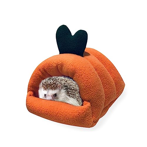 ETM̓Ãxbh bg̃xbh g L[g Lbg eg nEX [W nChAEg P[W ANZT[ sO~[ ETM nX^[ tF  nlY~ ``p