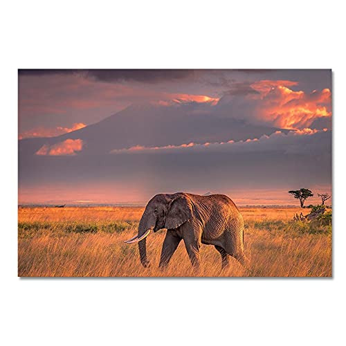 Art de diamant de bricolage 5D mosaïque éléphant kit complet 40x100